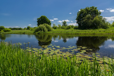 Similar image 21686843