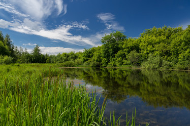 Similar image 21686844