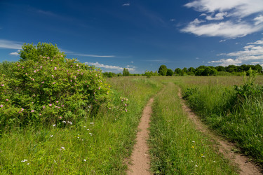 Similar image 21686845