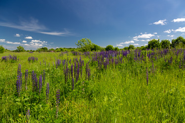 Similar image 21686847