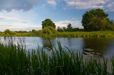 Similar image 21686849