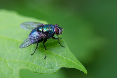 Similar image 21686851