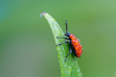 Similar image 21686852