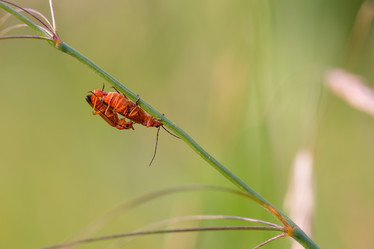 Similar image 21686853