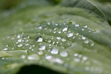 Similar image 21686854