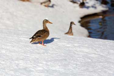 Similar image 21686856