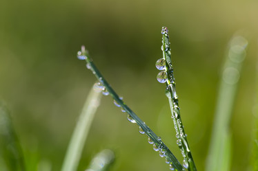 Similar image 21686857