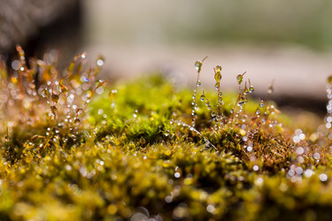 Similar image 21686859