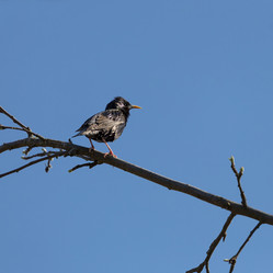 Similar image 21686860