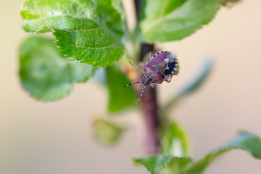 Similar image 21686861