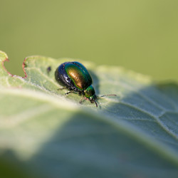 Similar image 21686862