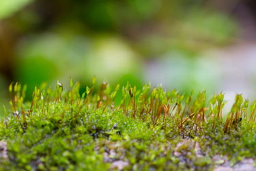 Similar image 21686863