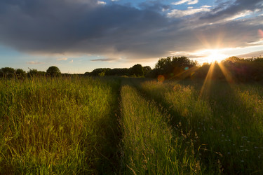 Similar image 21686865