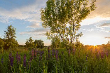 Similar image 21686866