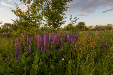 Similar image 21686867