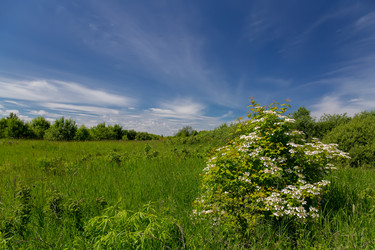 Similar image 21686868