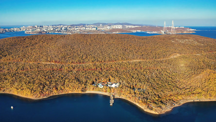 Similar image 21686869