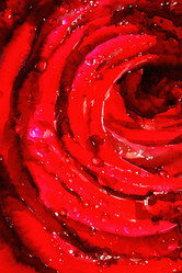 Similar image 21687864