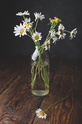 Similar image 21689663