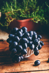 Similar image 21689681