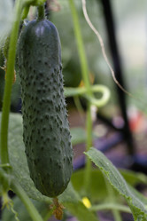 Similar image 21686697