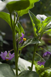 Similar image 21686698