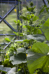 Similar image 21686700