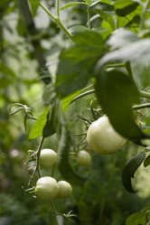 Similar image 21686701