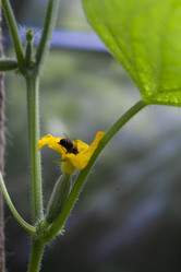 Similar image 21686702