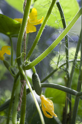 Similar image 21686703