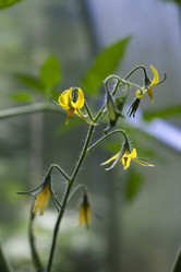 Similar image 21686704