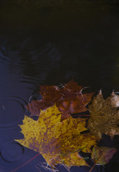 Similar image 21686706