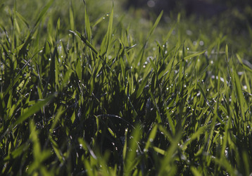 Similar image 21686707