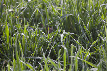 Similar image 21686709