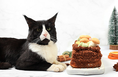 Similar image 21689180