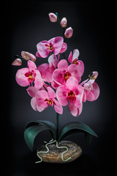 Similar image 21686721