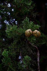 Similar image 21687896