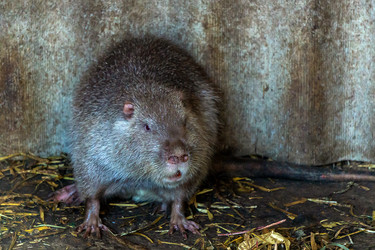 Similar image 21687898