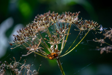 Similar image 21687899