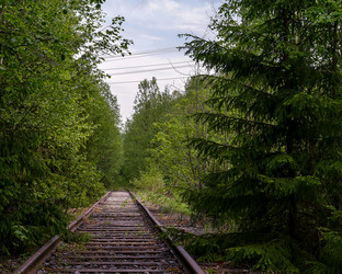 Similar image 21687901