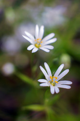 Similar image 21687902