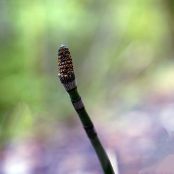 Similar image 21687903