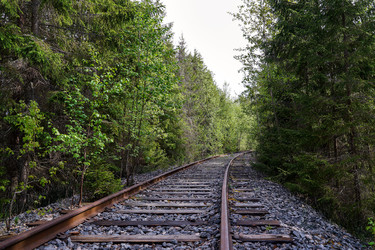 Similar image 21687905