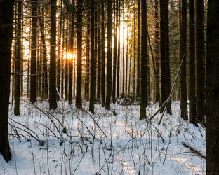 Similar image 21687907