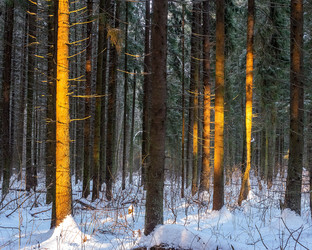 Similar image 21687908