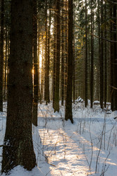 Similar image 21686914