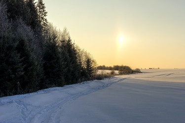 Similar image 21686915