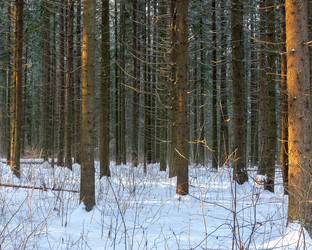 Similar image 21686916