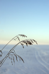 Similar image 21686917