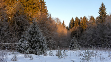 Similar image 21686918